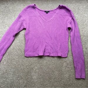 Wild Fable Magenta Ribbed V-Neck Sweater